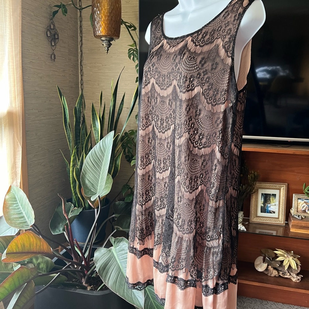 Elegant Lace Overlay Vintage Dress